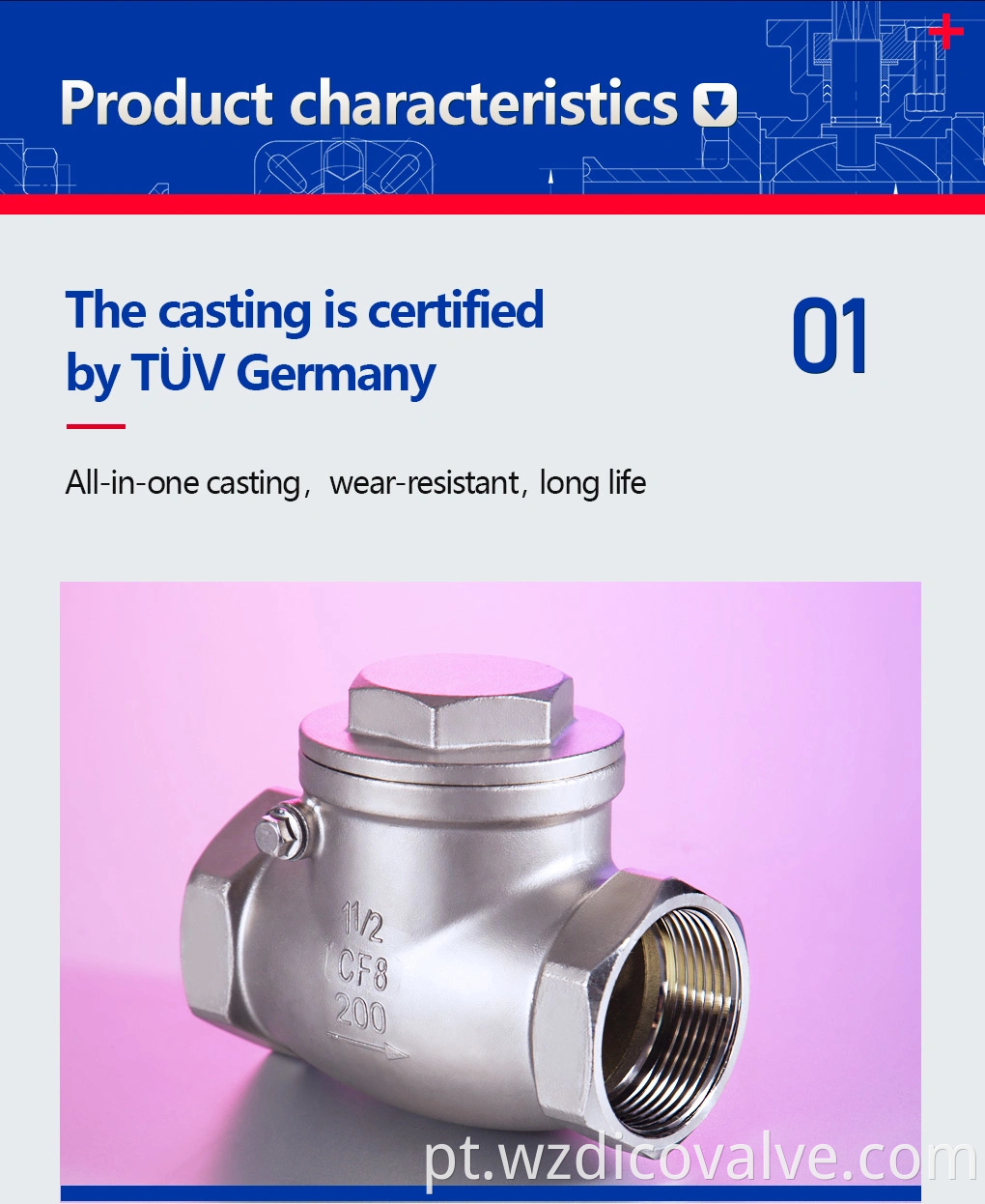 check valve